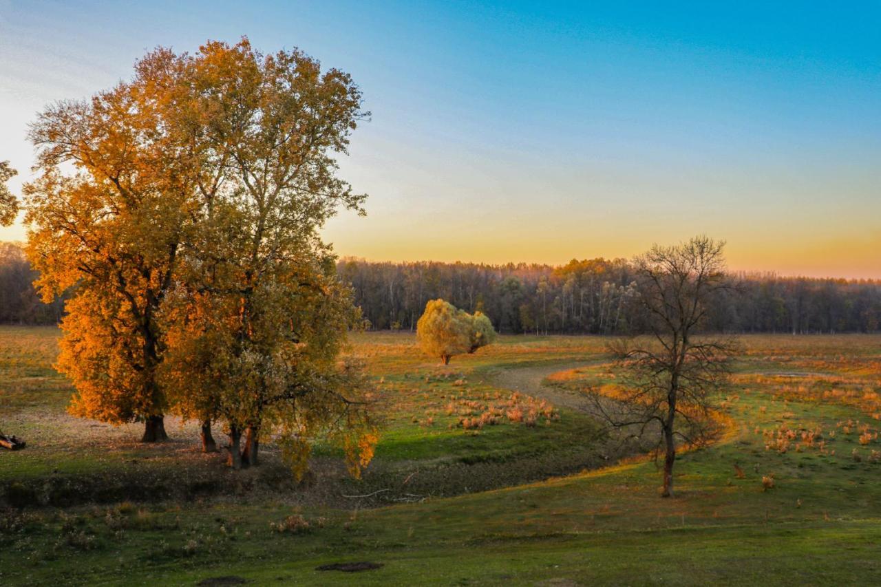 Апартаменти Zmaj Ognjeni Etno Concept Kupinovo Екстер'єр фото